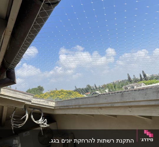 רשת למניעת כניסת יונים מותקנת על גג